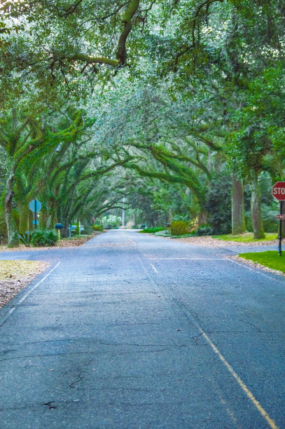 avenue