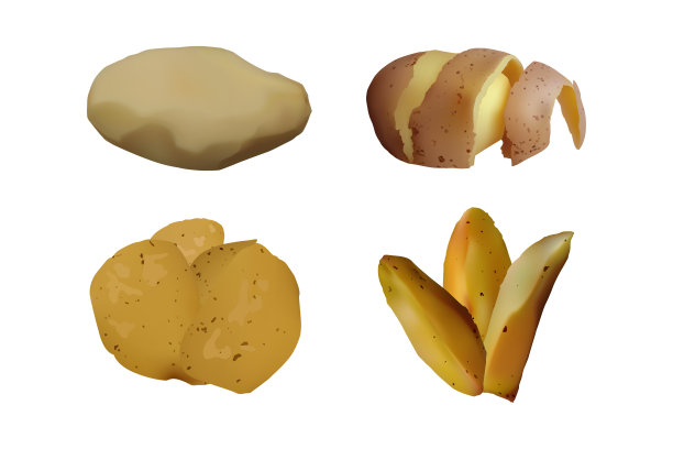 矢量土豆插画