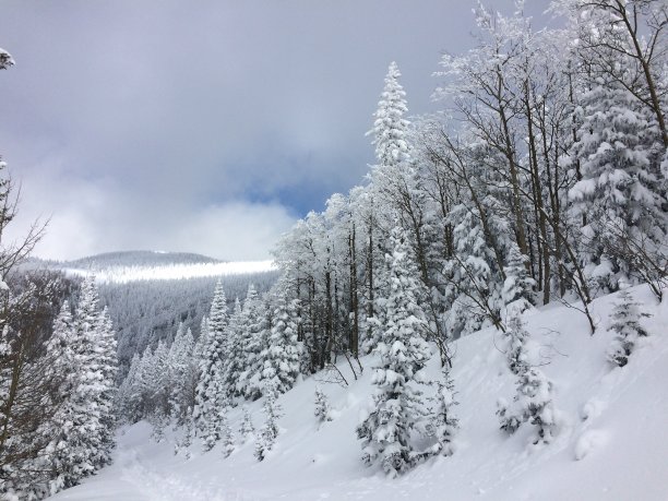 冬季自然景观山野雪景