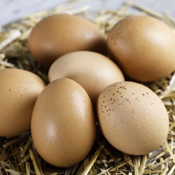 卵,蛋白质,胆固醇