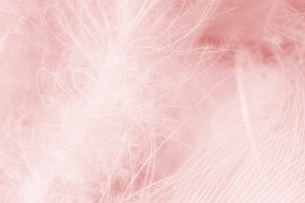 粉红色底纹设计背景