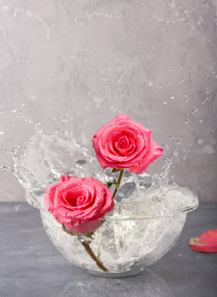 情人节花束红玫瑰粉玫瑰