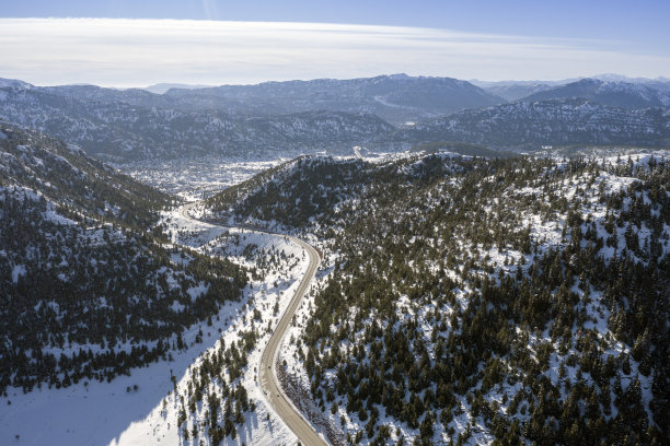 松林,雪路,雪景