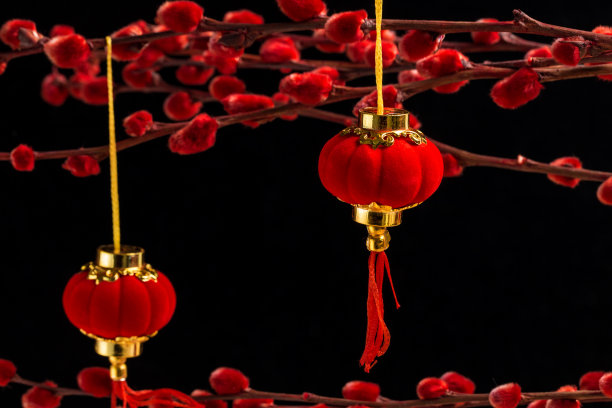 红色中国风正月十五元宵节花灯