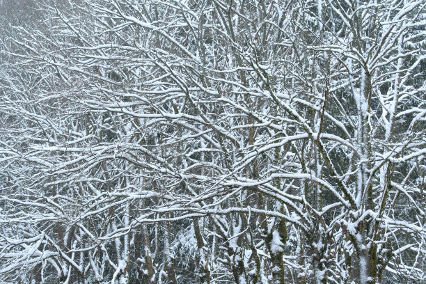 雪天抽象风景