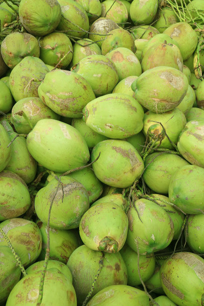 泰国鲜椰子