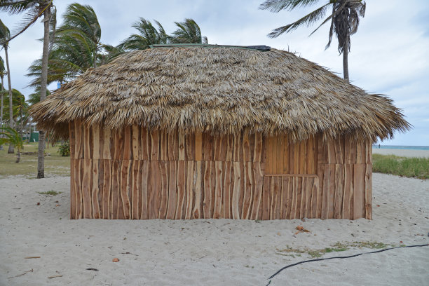 海边椰子房屋