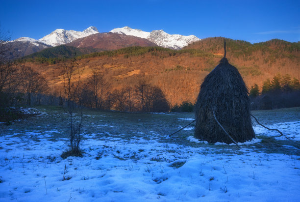 寒霜美景