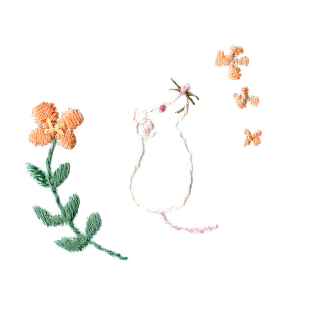 embroidery