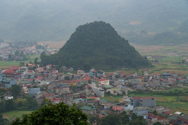 高原生物