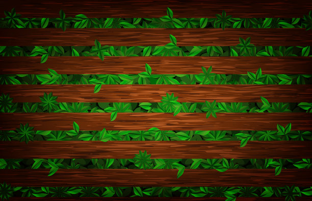 绿植木篱笆