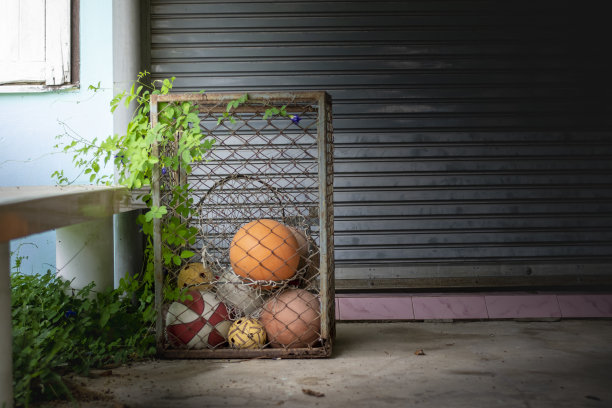 排球篮