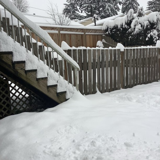 白雪皑皑冬季郊外雪景