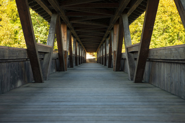 公园木桥