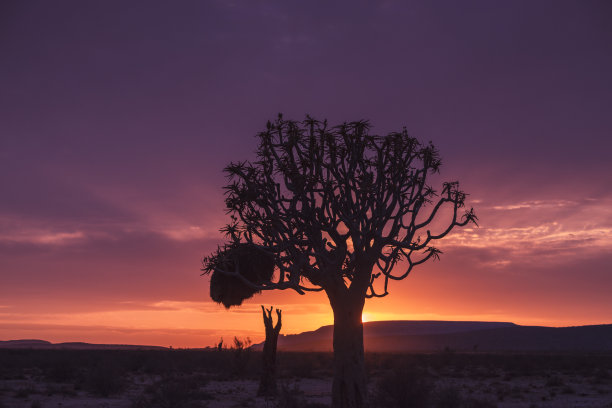 namibia