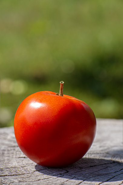 西红柿广告图