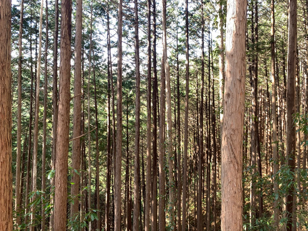 高清抽象线条山水