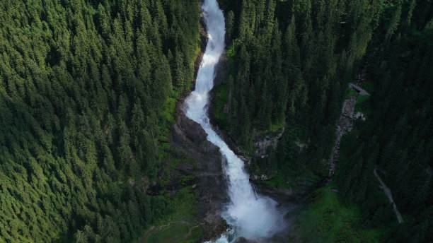 高山脉树林