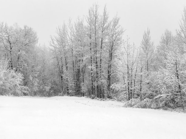 雪天抽象风景