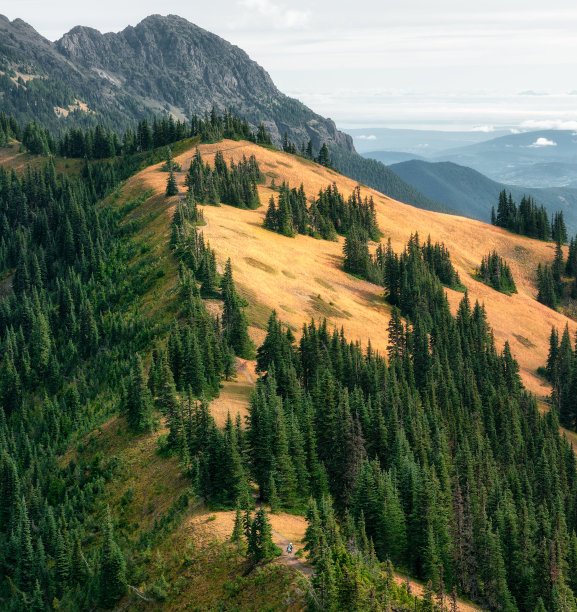 秋天的山间小路风景