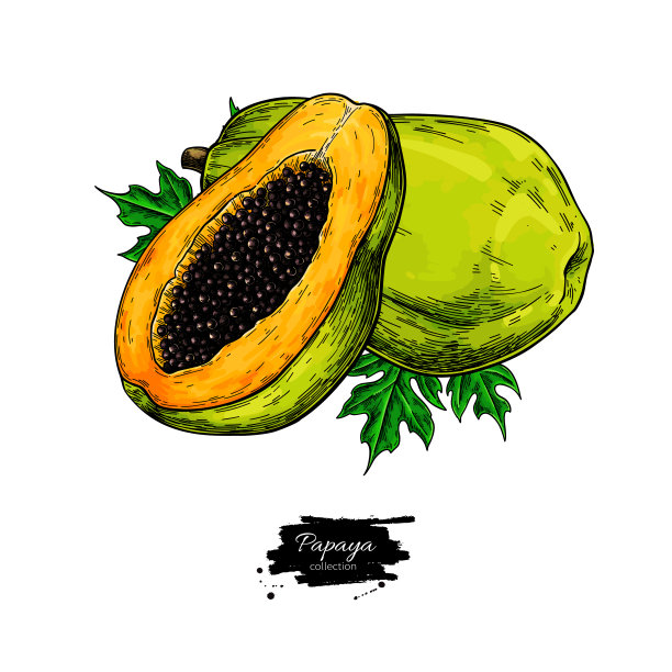 papaya