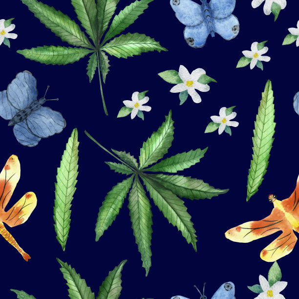 蓝白花卉蝴蝶图案素材