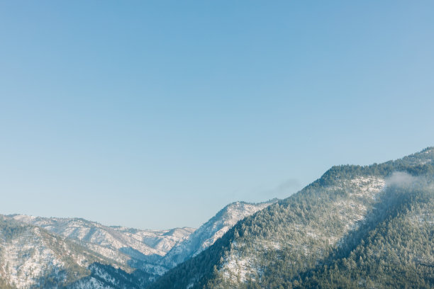 高山脉树林