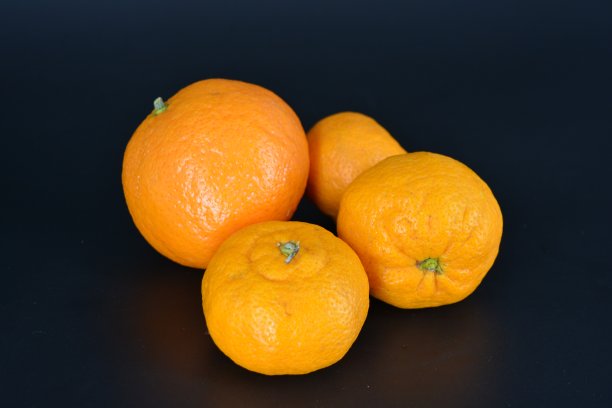 橘子创意摄影