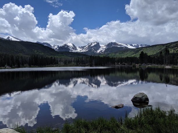 湿地风景