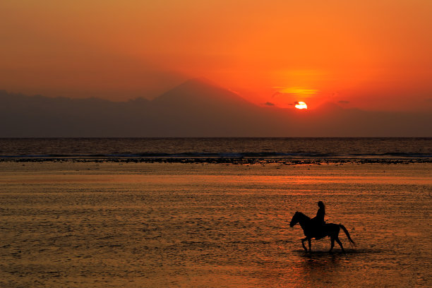 海边骏马