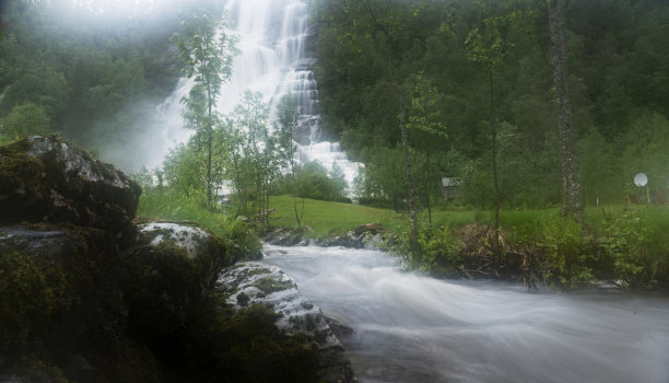 voss