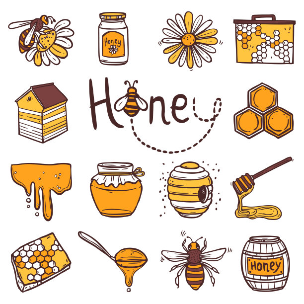 蜜蜂设计图
