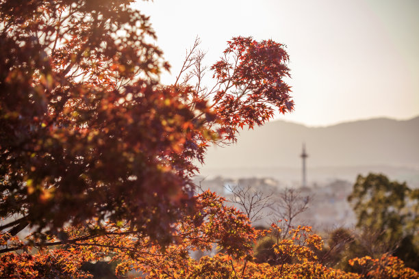 京都地标