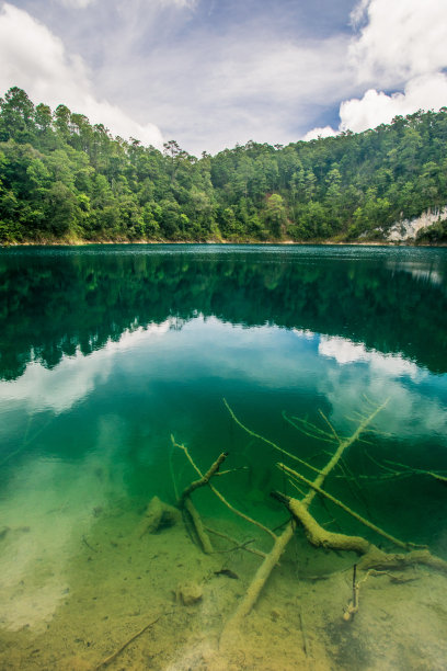 寒霜美景