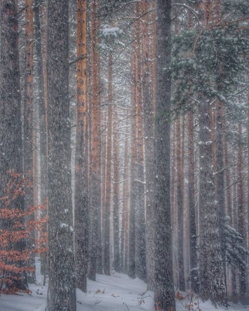 大雪冬至小寒大寒