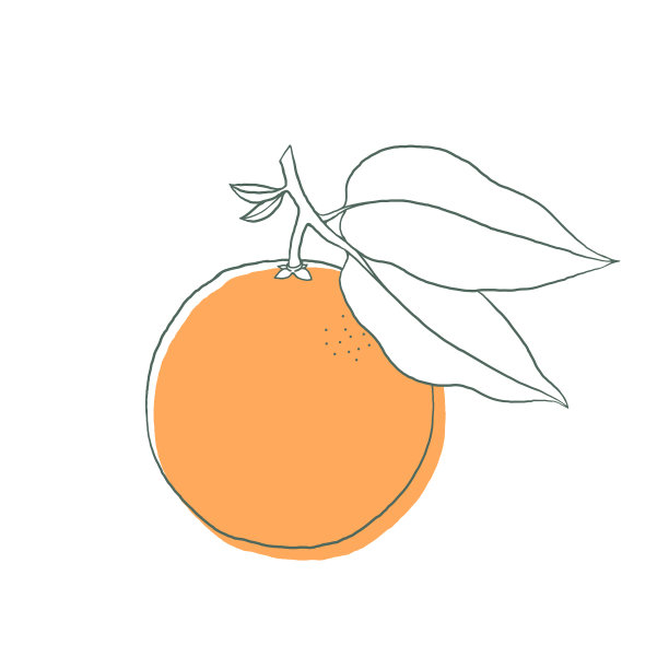 矢量橘子花