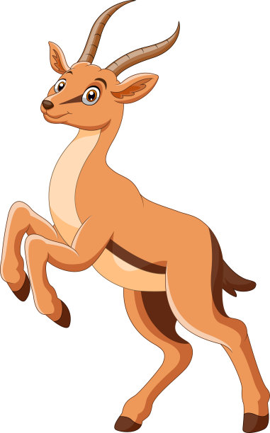 antelope