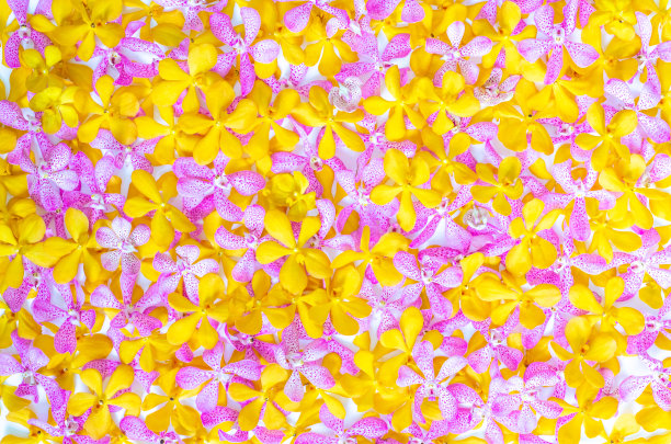 婚庆策划粉色主题