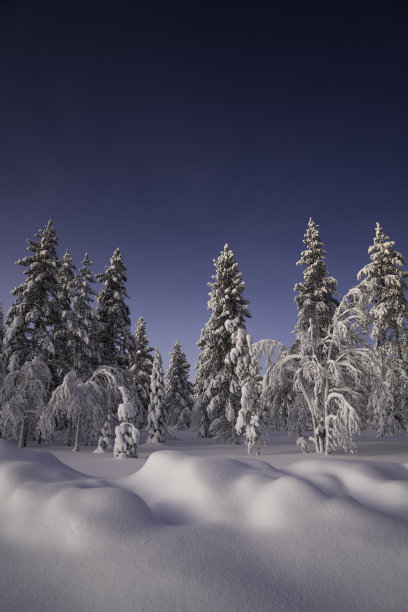 冰雪景观