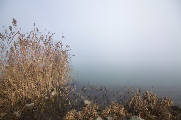 湿地河湾云雾