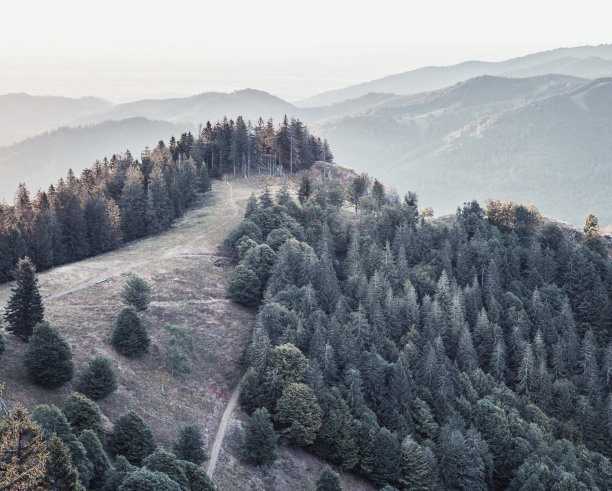 秋天的山间小路风景