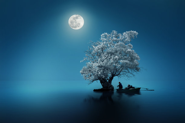 月光下的树