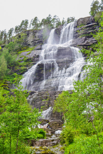 voss
