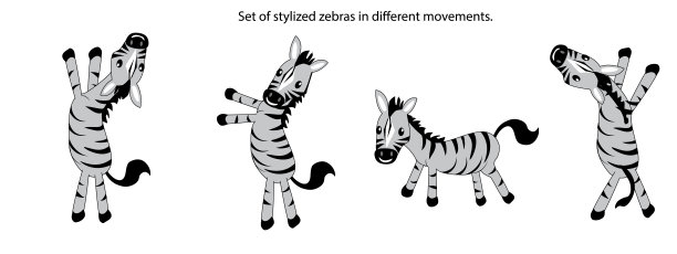 zebra