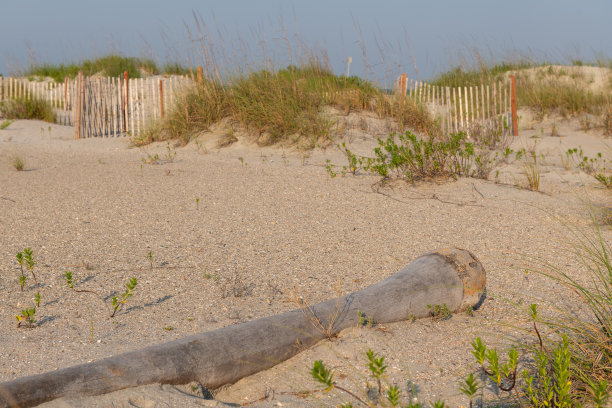 beach-access