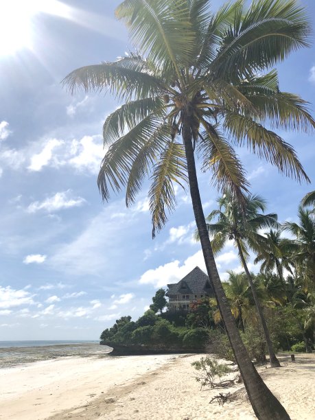 海边椰子房屋