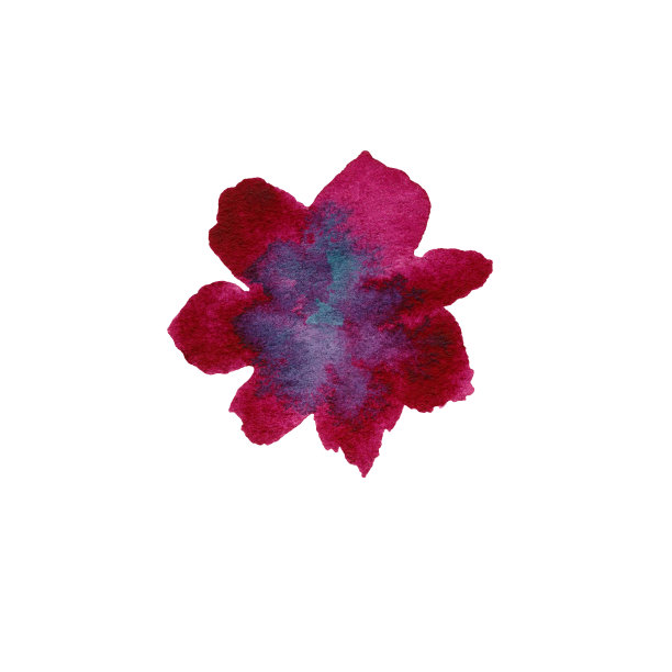 牡丹花插画