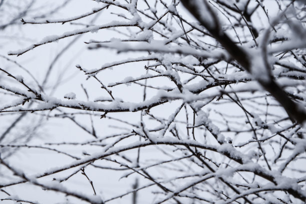 雪天抽象风景