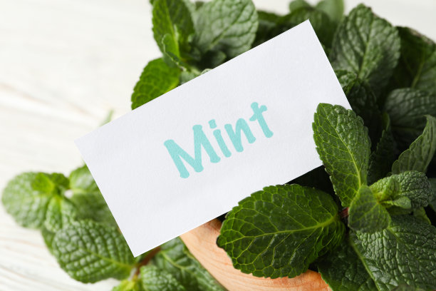spearmint