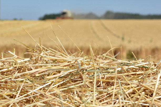 straw
